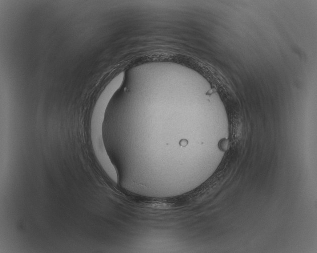 X0000116340759200912291612