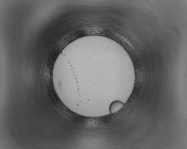 X0000116340761200912291612