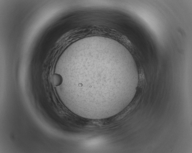 X0000116340765200912291612