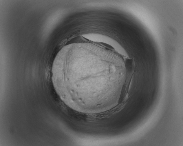 X0000116340766200912291612