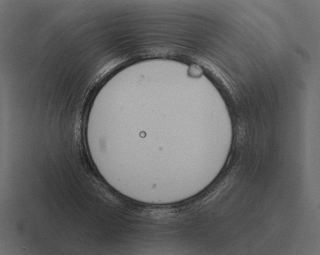 X0000116340778200912291611