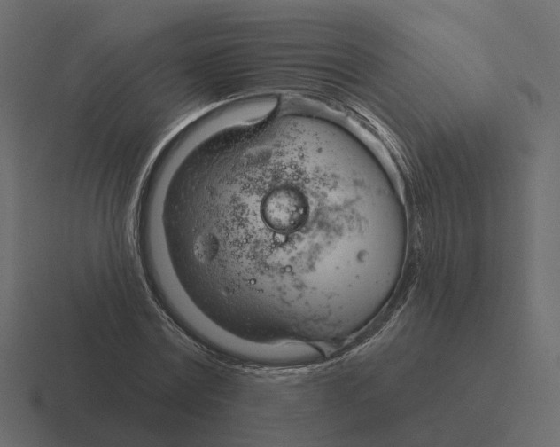 X0000116340779200912291611