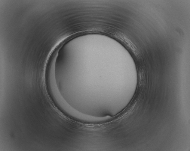 X0000116340780200912291611