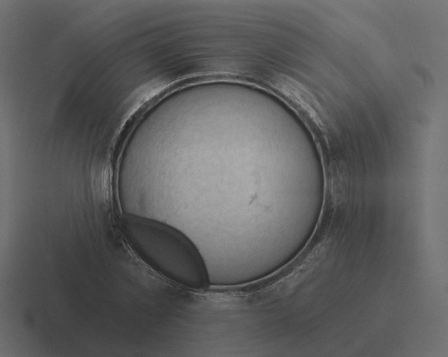 X0000116340781200912291611