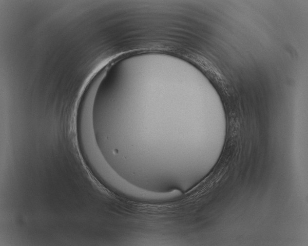 X0000116340792200912291611