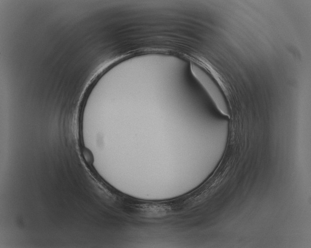 X0000116340795200912291611