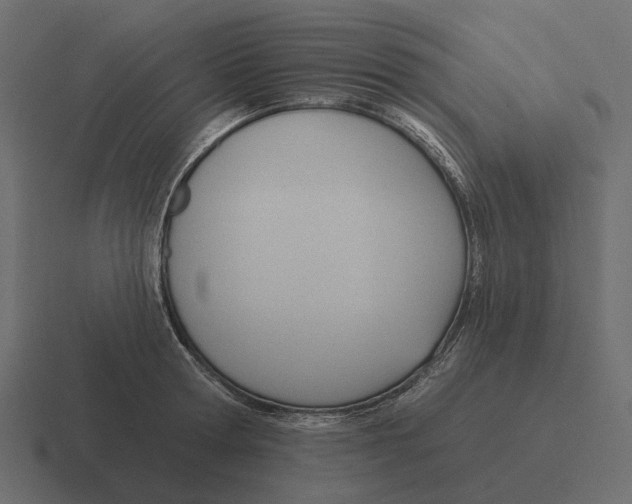 X0000116340802200912291611