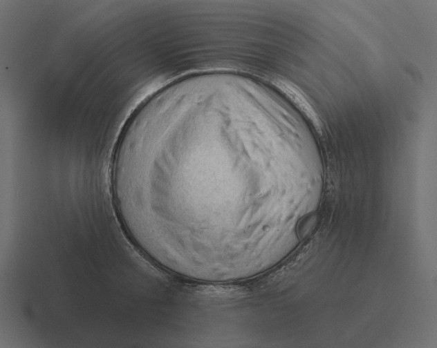 X0000116340805200912291611