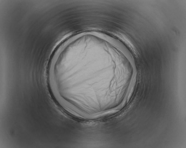 X0000116340806200912291611