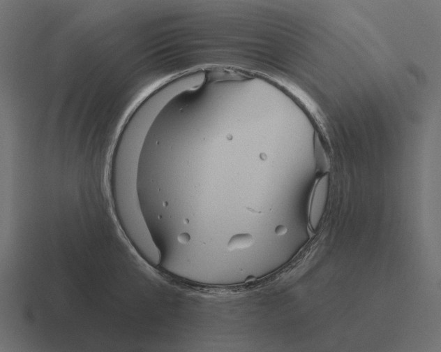 X0000116340807200912291611