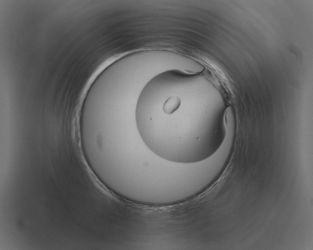 X0000116340808200912291611