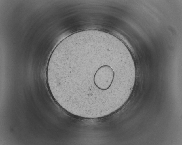 X0000116340810200912291611