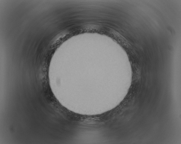 X0000116340824200912291610