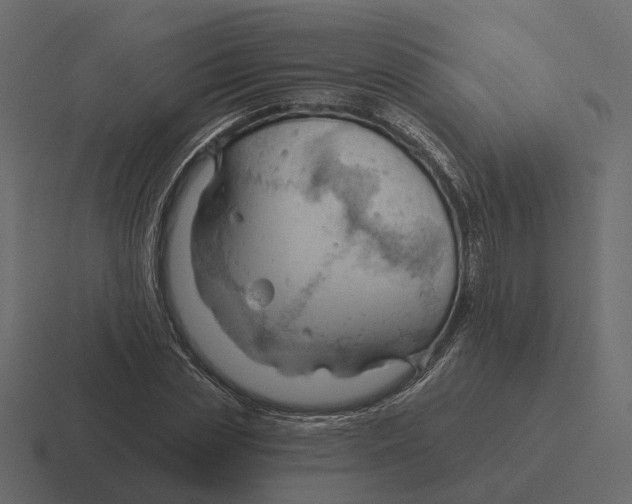 X0000116340829200912291610