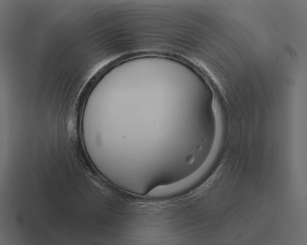 X0000116340830200912291610