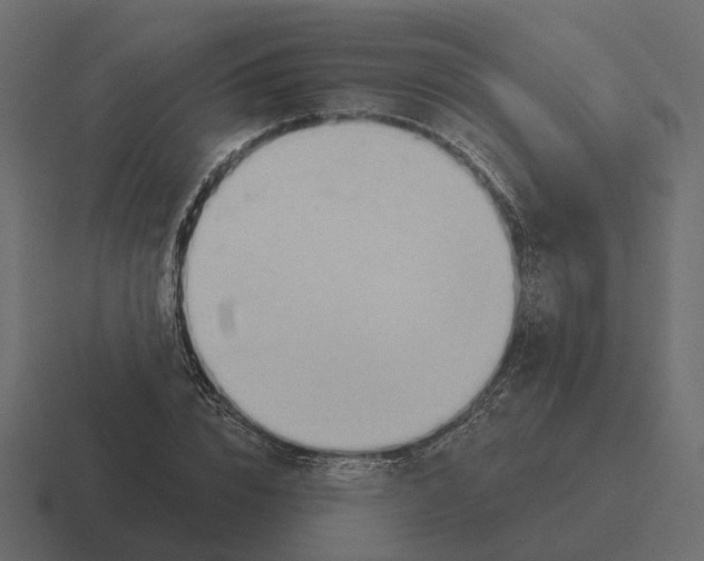 X0000116340832200912291610