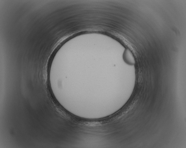 X0000116340837200912291610