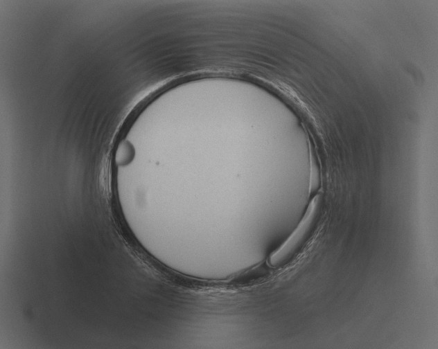 X0000116340838200912291610