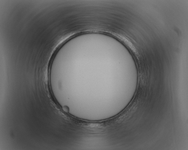 X0000116340839200912291610