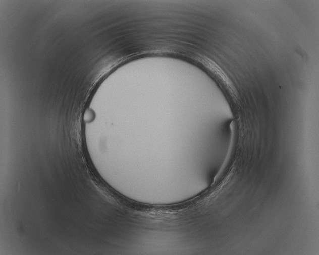 X0000116340842200912291610