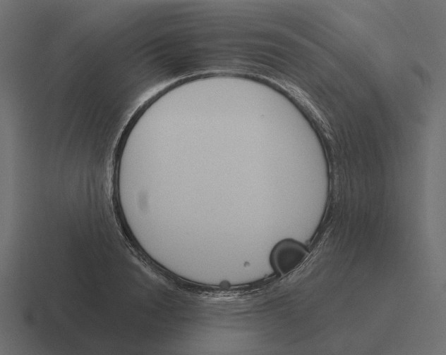 X0000116340846200912291610