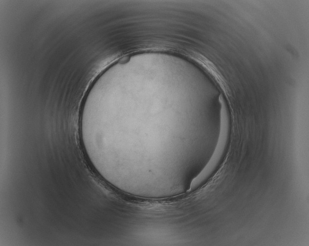 X0000116340850200912291611