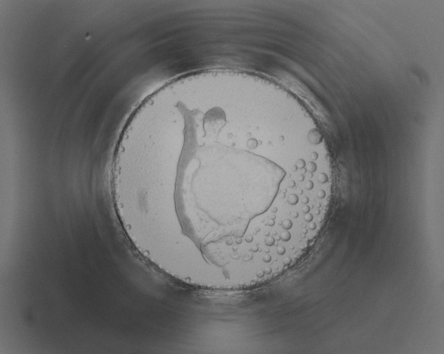 X0000116340856200912291611