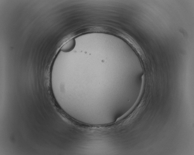 X0000116340858200912291611