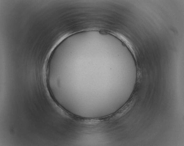 X0000116340859200912291611