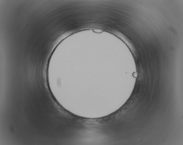 X0000116340861200912291611