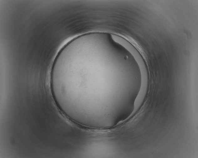 X0000116340862200912291611