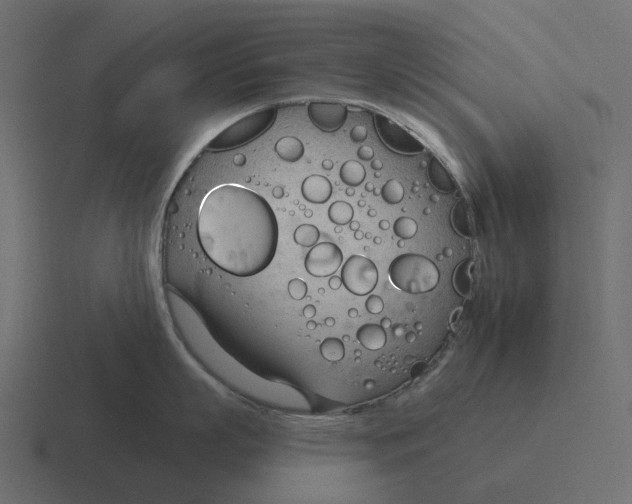 X0000116340863200912291611