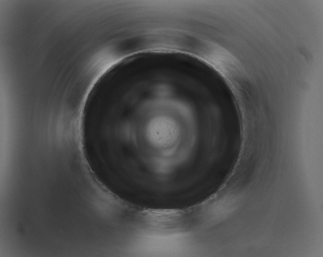 X0000116340864200912291611