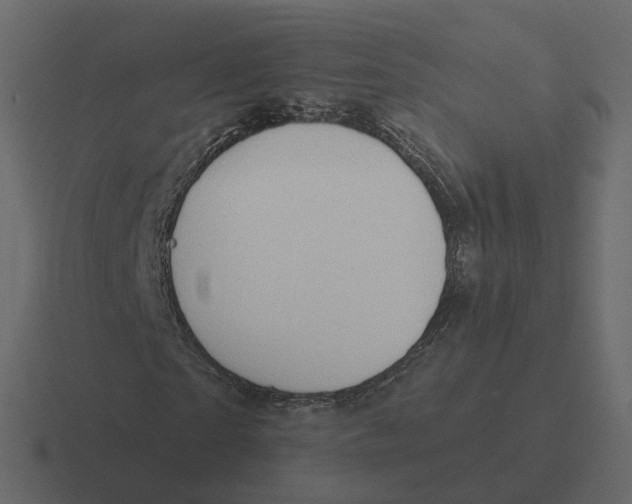 X0000116340865200912291610