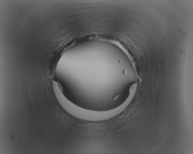 X0000116340867200912291610