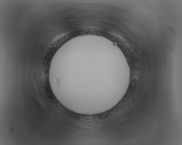 X0000116340869200912291610