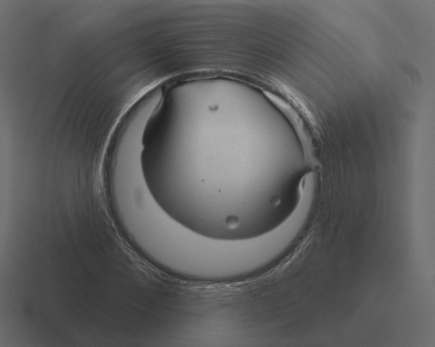 X0000116340876200912291610