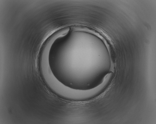 X0000116340877200912291610