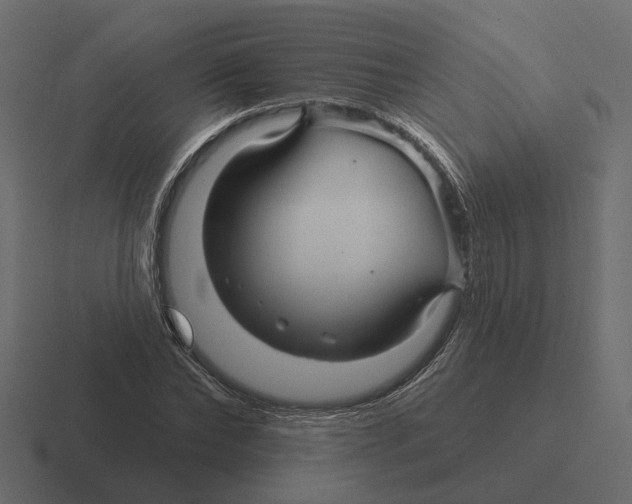 X0000116340878200912291610