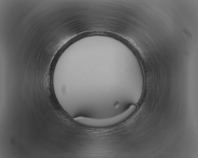 X0000116340879200912291610