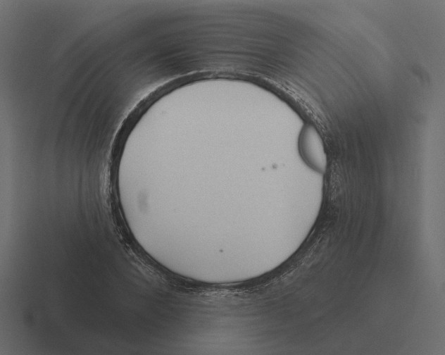 X0000116340880200912291610