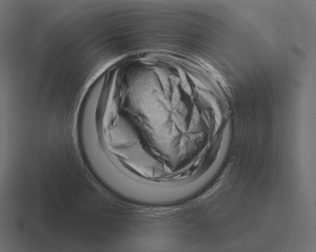 X0000116340885200912291610