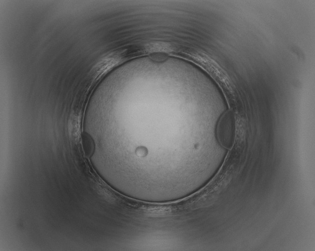 X0000116340889200912291610