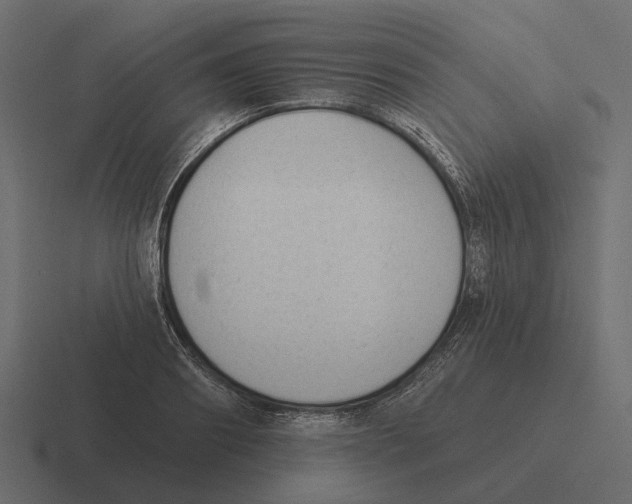 X0000116340890200912291610