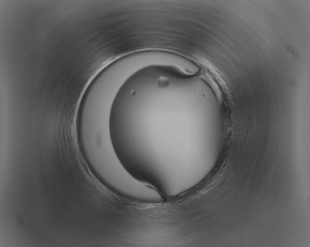 X0000116340892200912291610