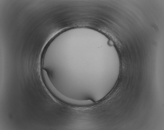 X0000116340894200912291610