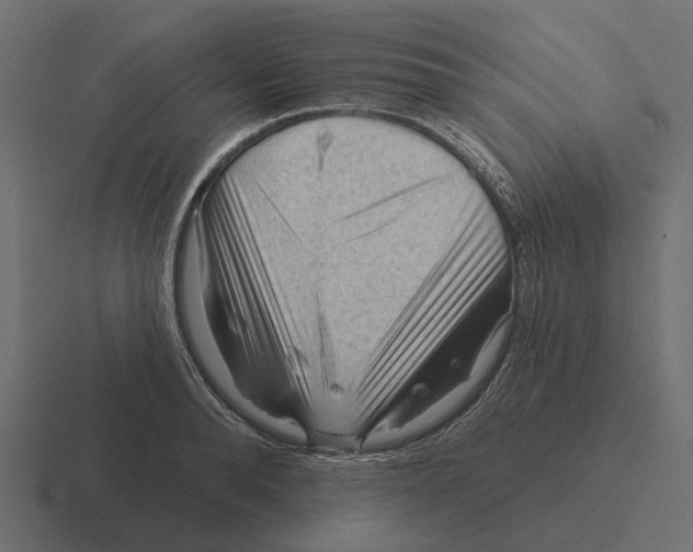 X0000116340896200912291610