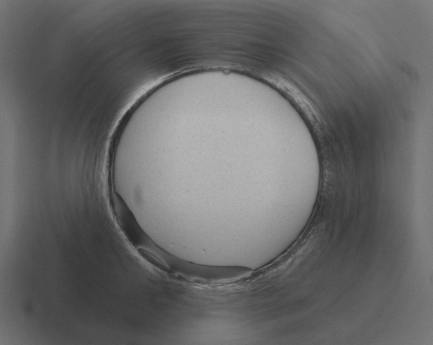 X0000116340902200912291610