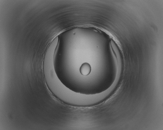 X0000116340905200912291610