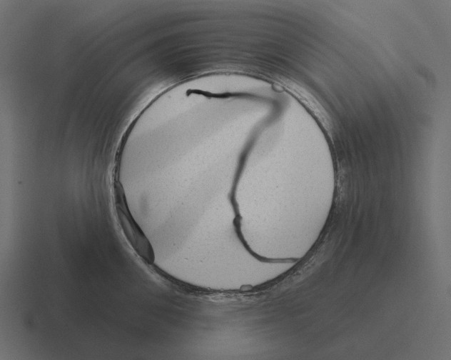 X0000116340906200912291610